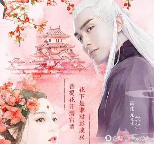 三生三世十里桃花 经典语录 读着读着 走进了心里