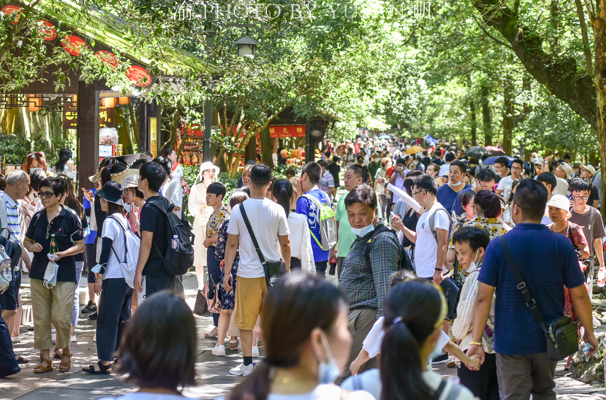 杭州各大景区人山人海旅游全面恢复可喜但有一现象却令人担忧