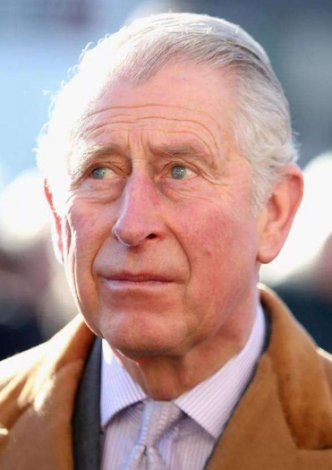 英国最老王储查尔斯外出访问,西装革履盛装出席,却也满头白发弯腰驼背