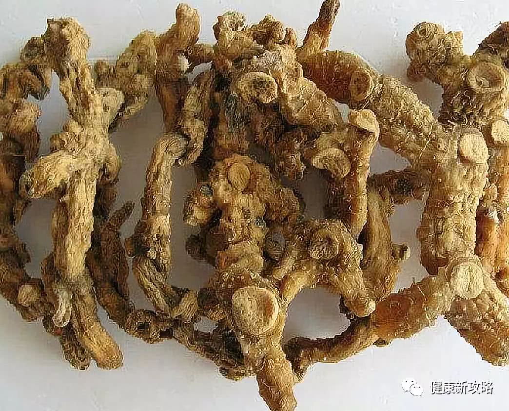 温中散寒之品高良姜,桂枝,寒凝血脉,瘀血内停故加用活血之品莪术,天龙