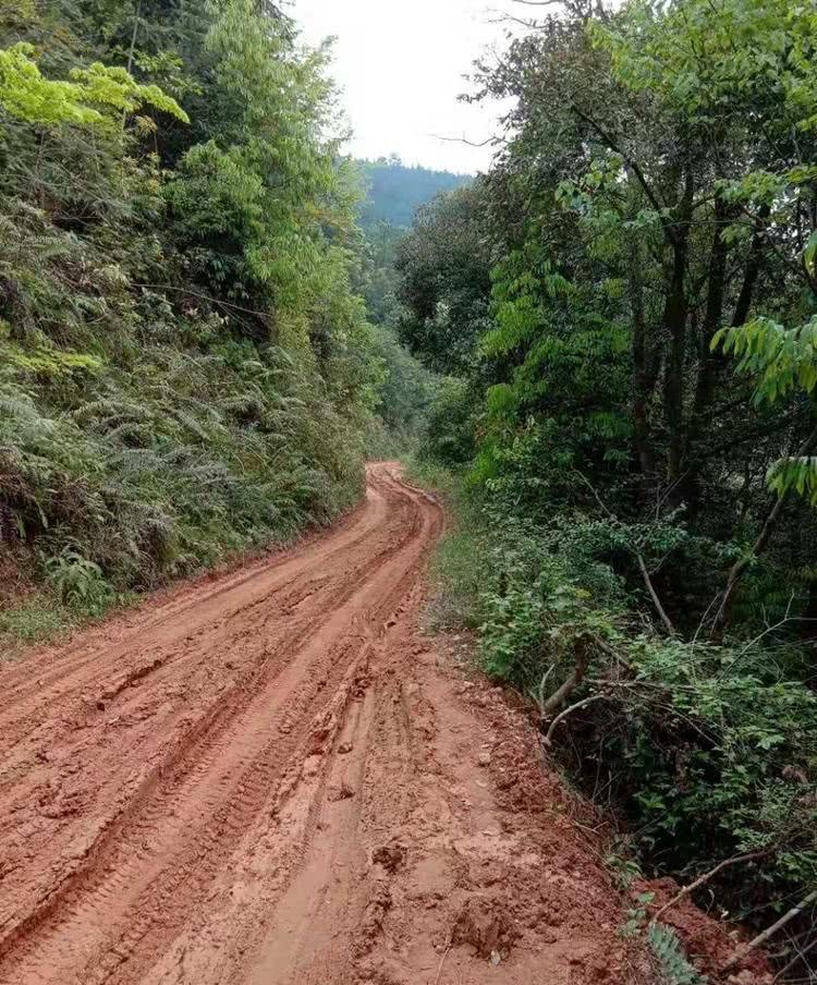 连州这个瑶寨5公里黄泥路将变水泥路
