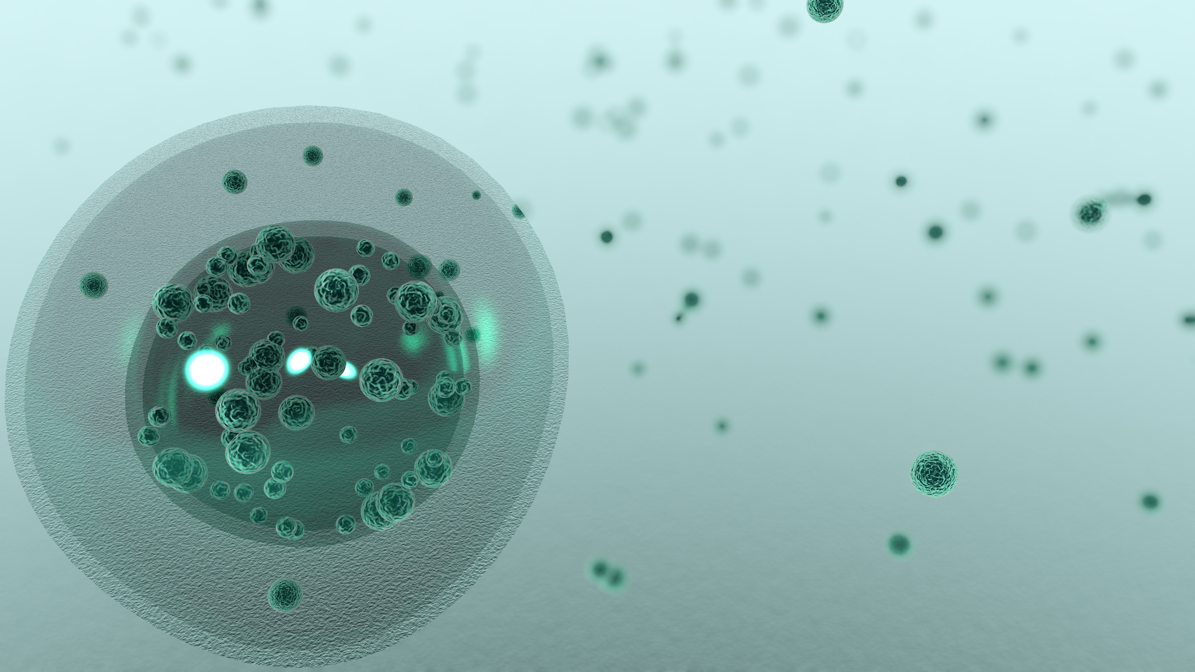 "海阔天空"-第1张图片-天福博客