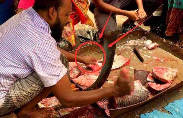 印度人,真神,印度_旅游,讲究