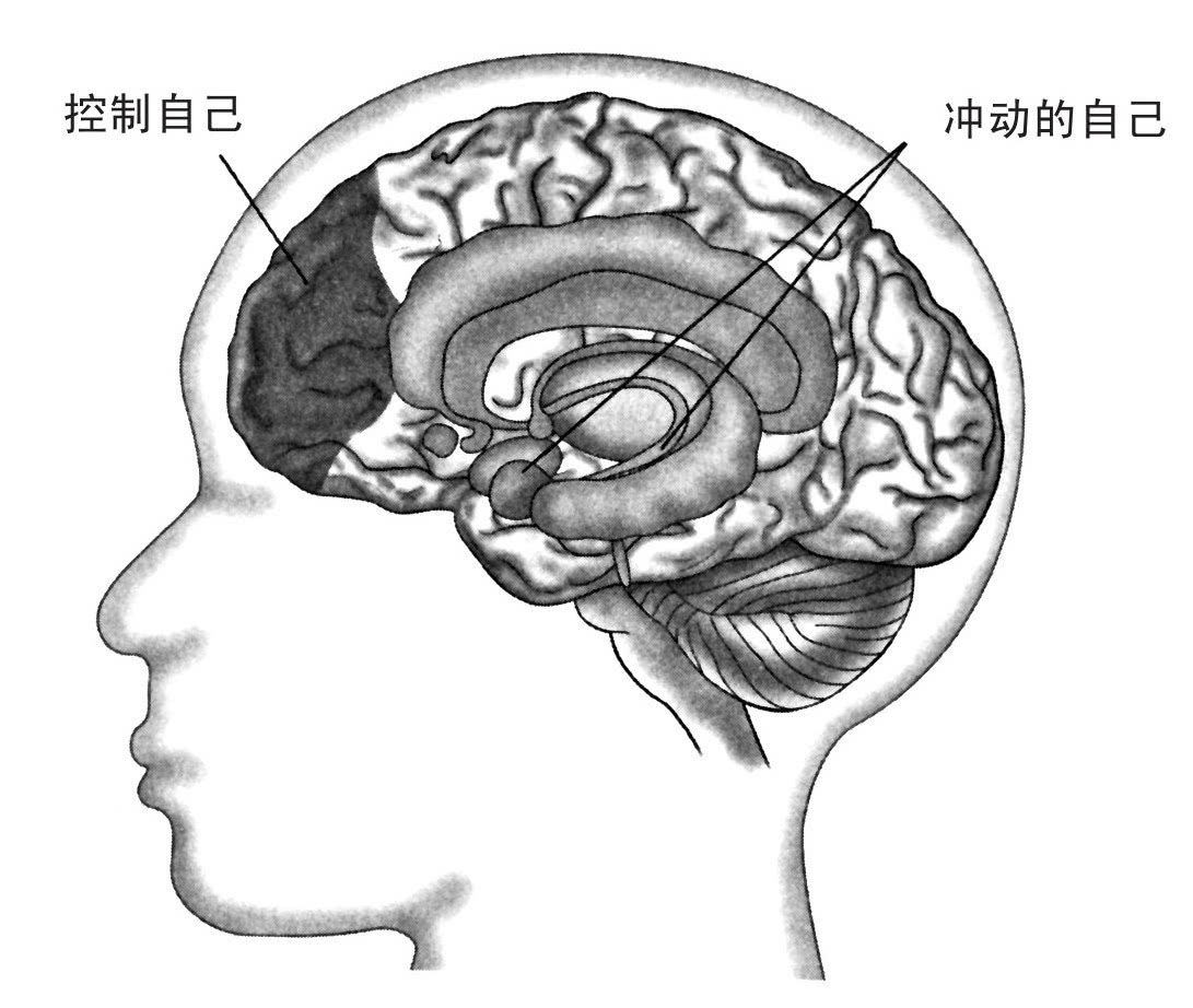 读完《自控力》这本书,你的自控力真的加强了吗?能够延续多久呢?