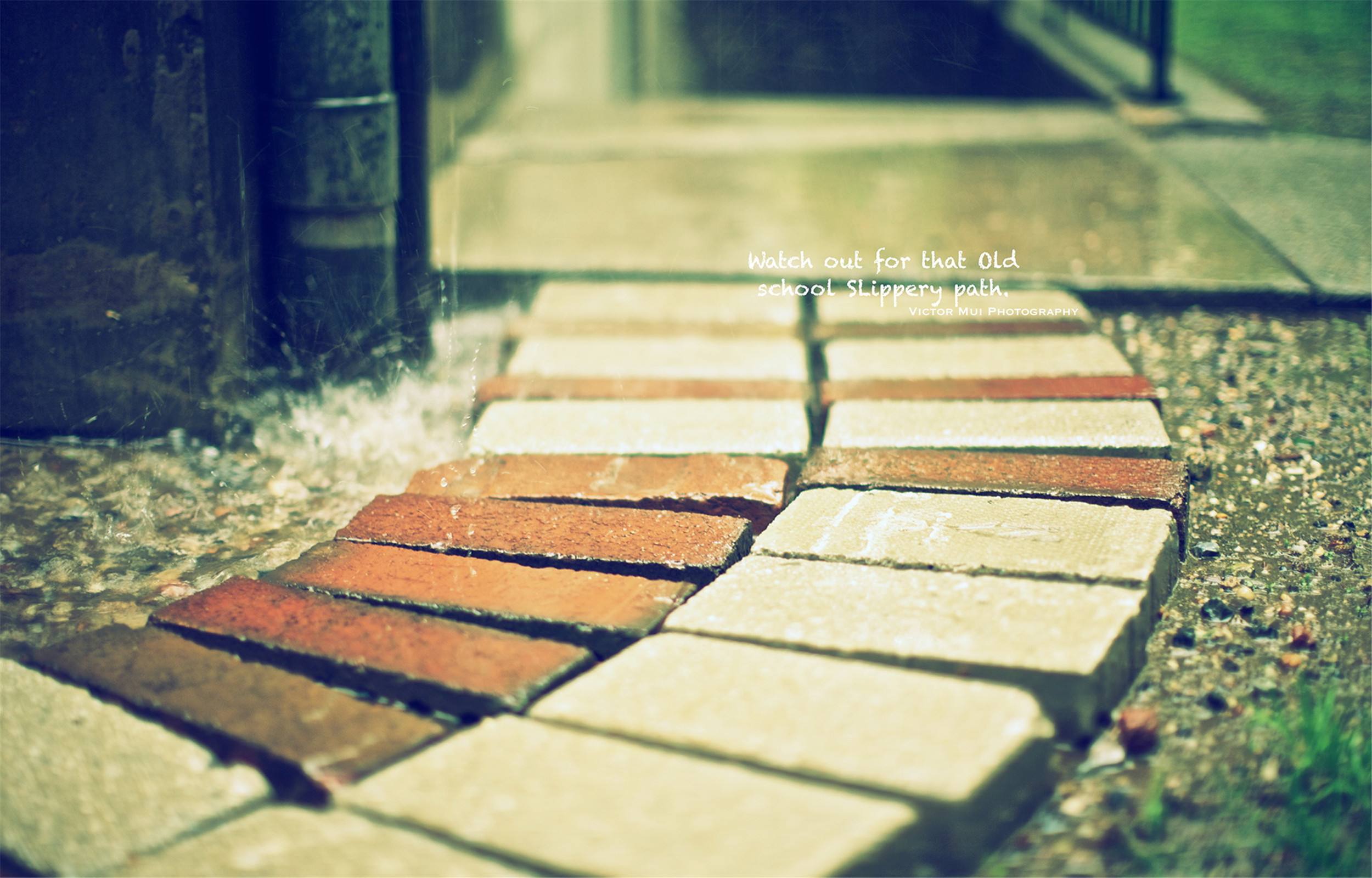 那些"人生经典"的qq空间说说,深刻精辟,每句都触碰你的心灵