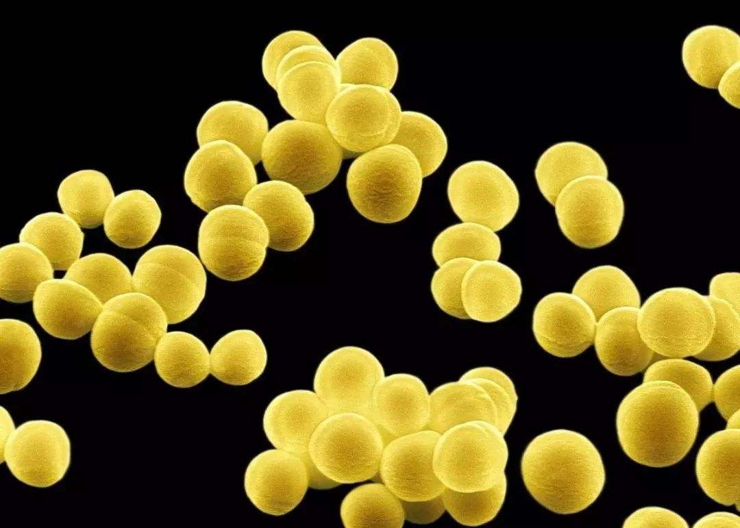 车祸后骨折,不注意这点,差点让他变成残疾人