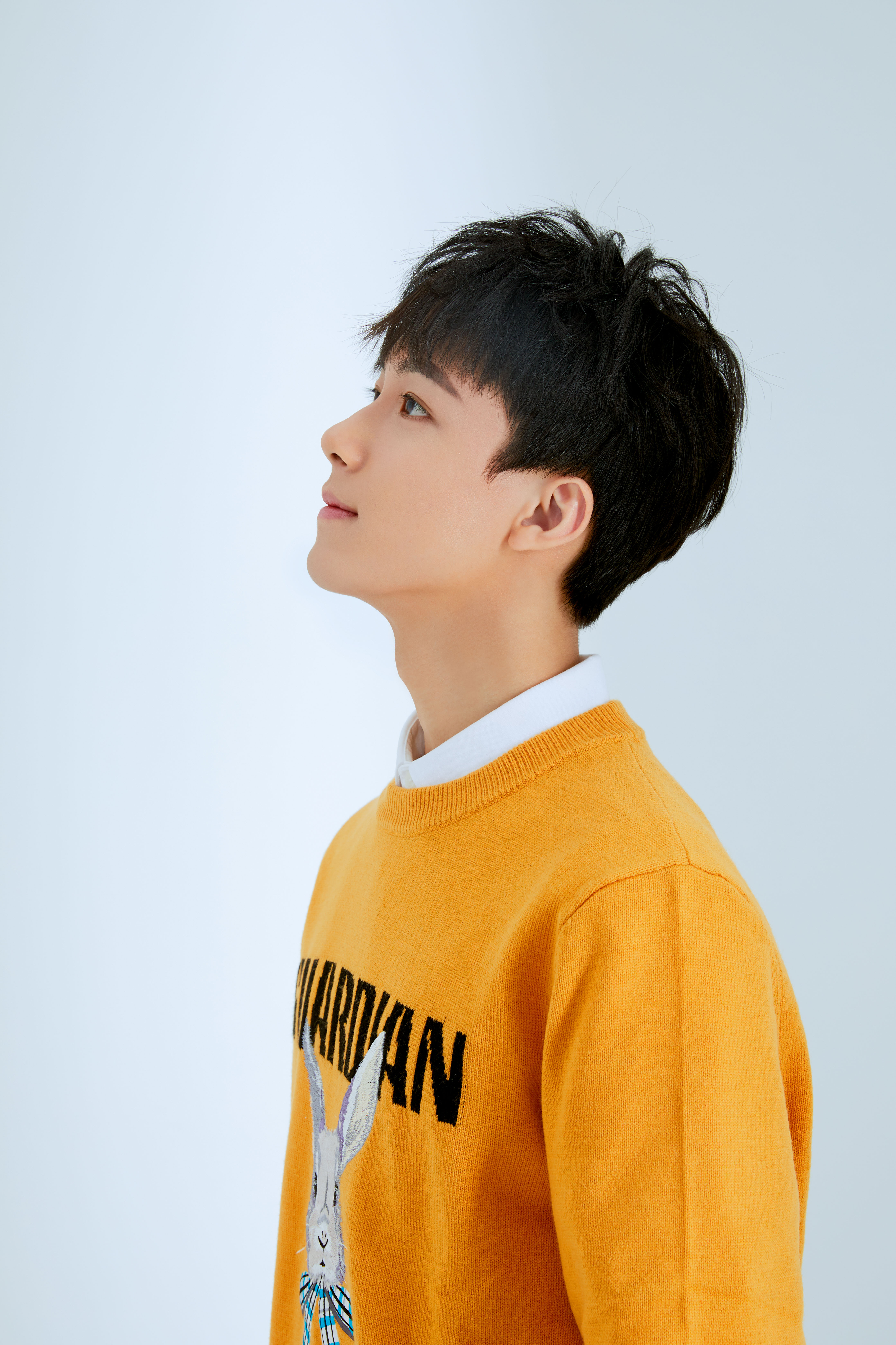 黄星羱,中国风,鬓边不是海棠红