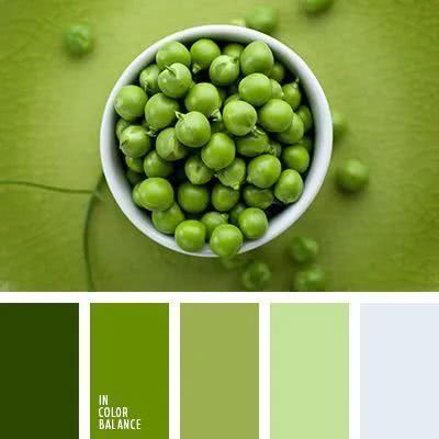 【配色设计】夏天新鲜的绿视觉参考