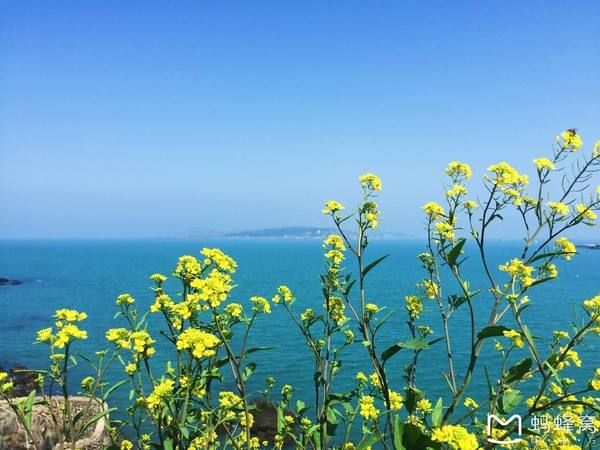 晴殇曲谱_殇曲谱简谱