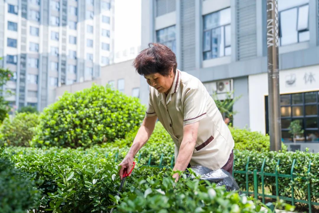 文明,人海中,卢洁勇,金东区,程少彪,多湖,范小奶,邓金林,钱金文,盛经