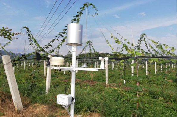 城固打造智慧果园促猕猴桃产业增产提效