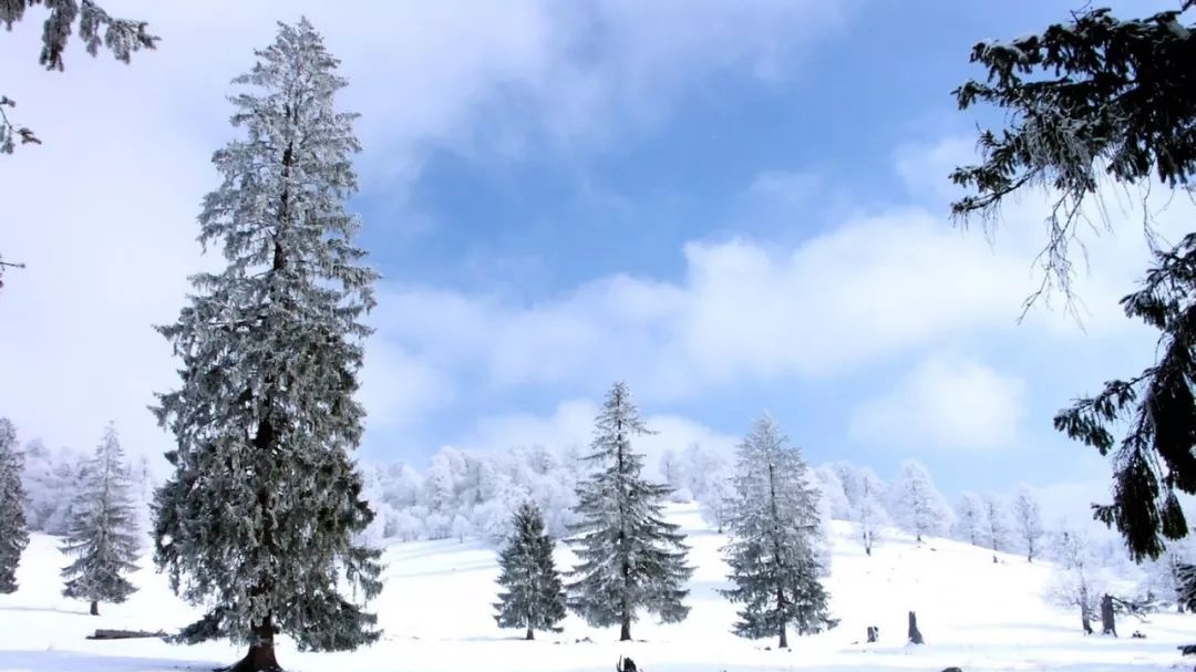 runaway,aurora,金曲