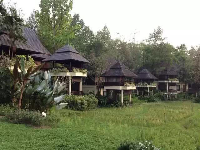 最"稻田"酒店-清迈四季酒店