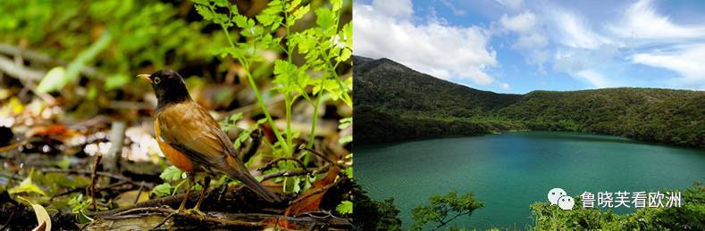 只要1 2个小时就能看见不一样的日本 东京市区逛腻了 近郊8个绝美离岛推荐