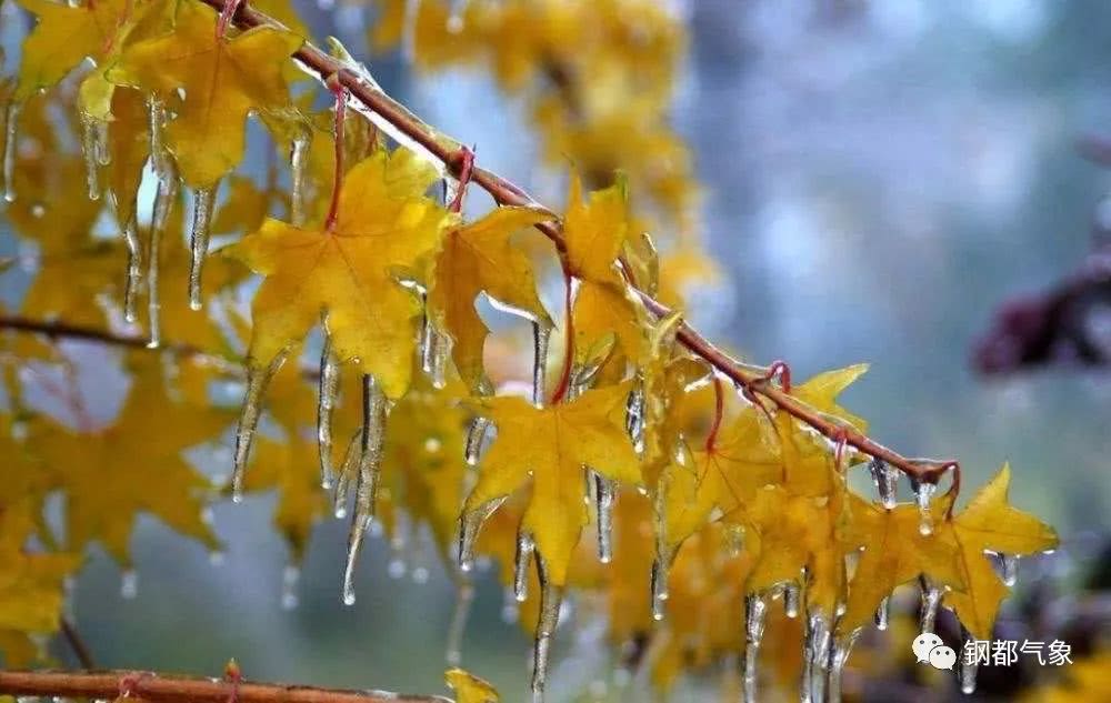 鞍山:未来三天我市多云转阴,有雨夹雪转雪天气,伴有大风降温