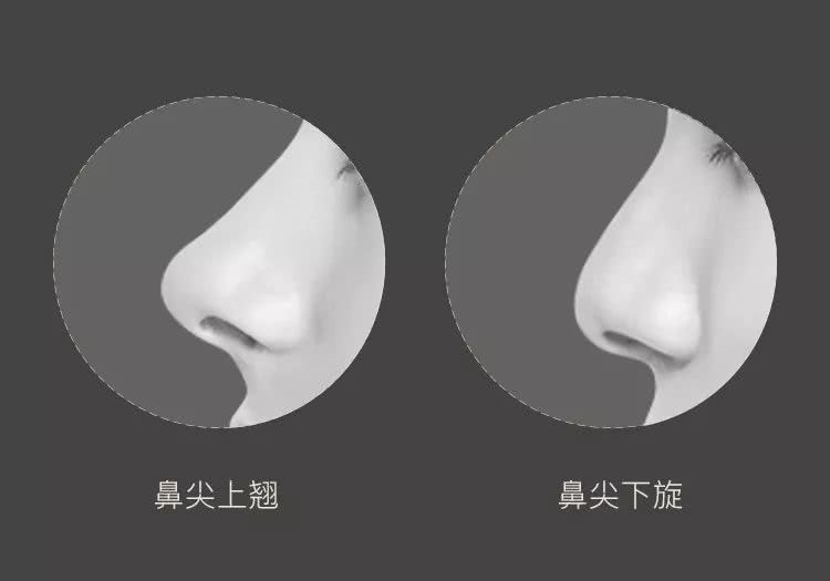 可灵活且精准的制定出轻微的鼻尖上翘与下旋角度,降低鼻尖上突兀转折