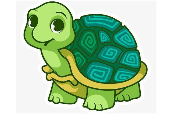 陆龟,金鱼,乌龟