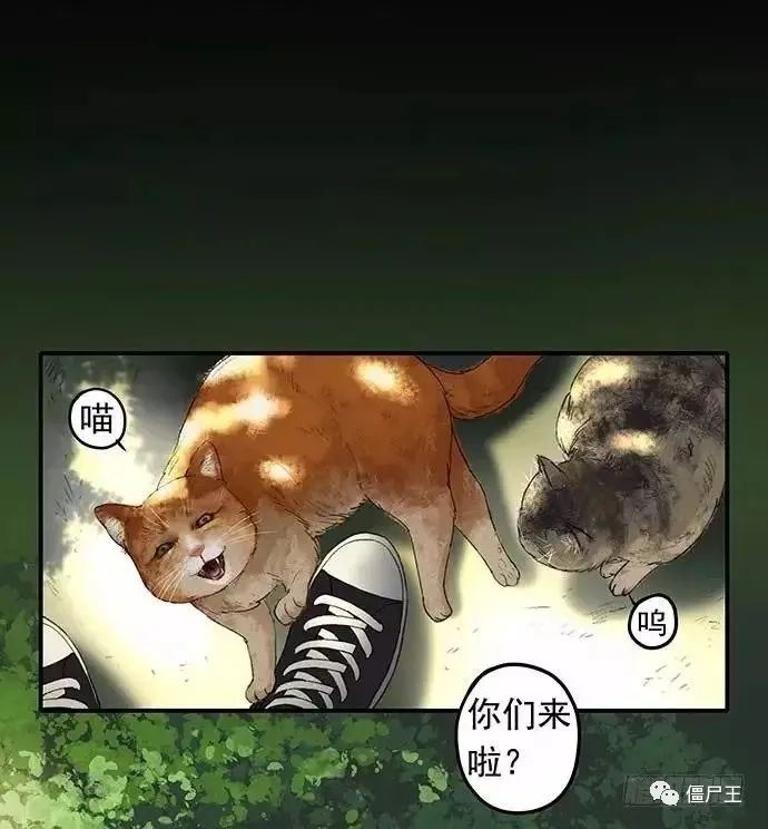 僵尸王漫画 虐猫事件 恐怖漫画 僵尸王恐怖漫画 恐怖故事