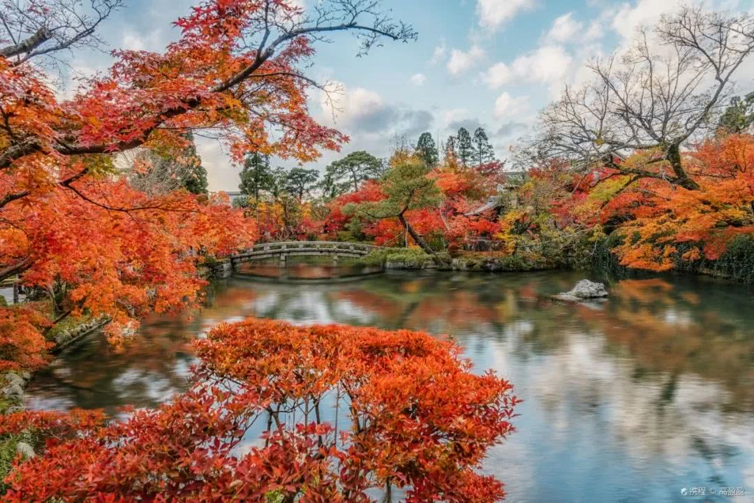 京都的红叶快 枫 啦 这6处寺院的红叶美到让人窒息