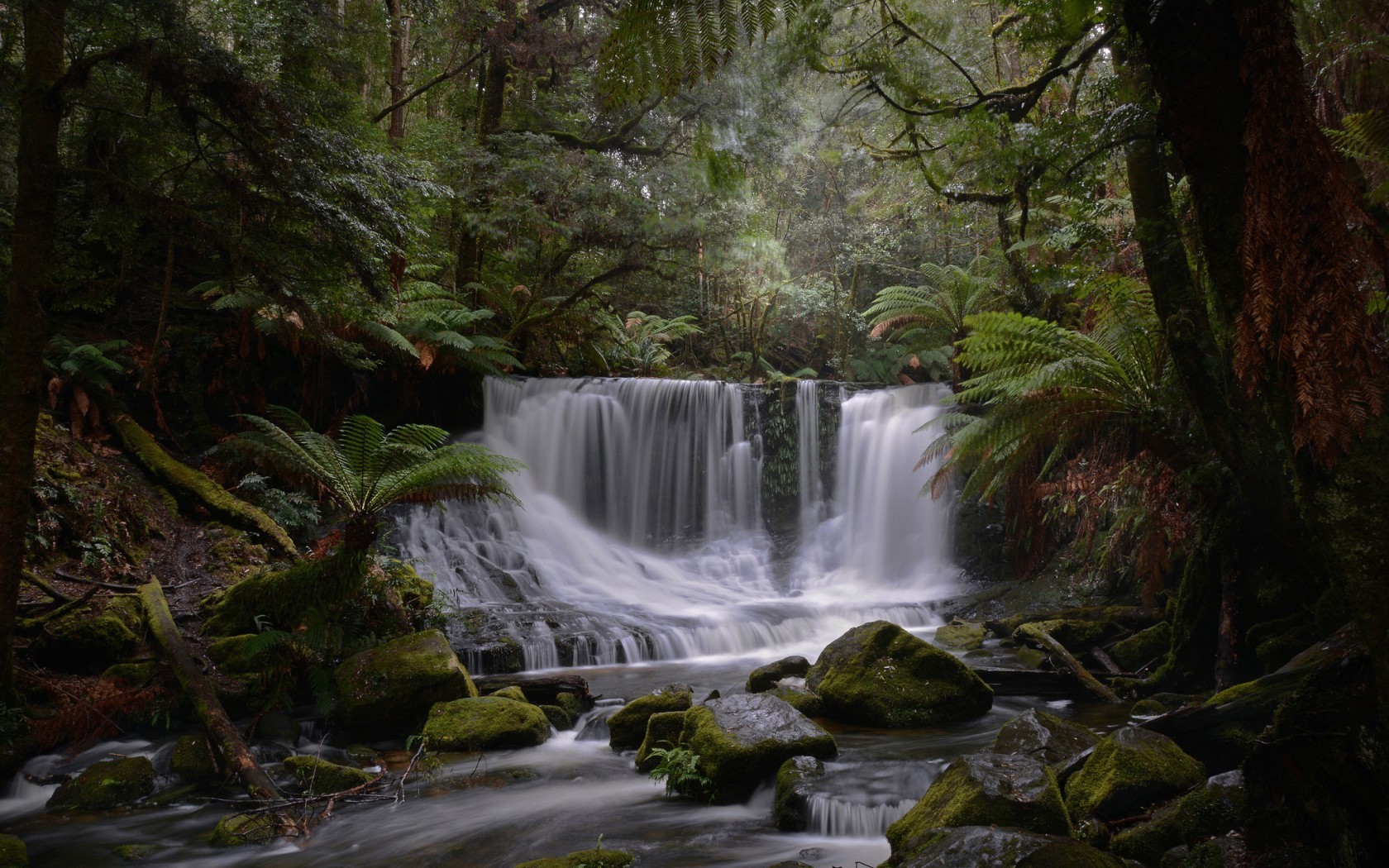 10月,红鸾星动,爱情转运,桃花运大好,将牵手真爱的3个星座