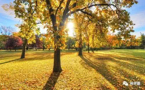 西北风,气温,农村,季节