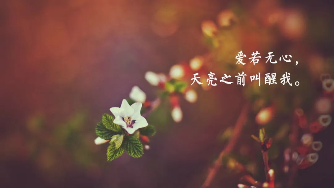 做人,永远保持清醒,比任何事情都难!