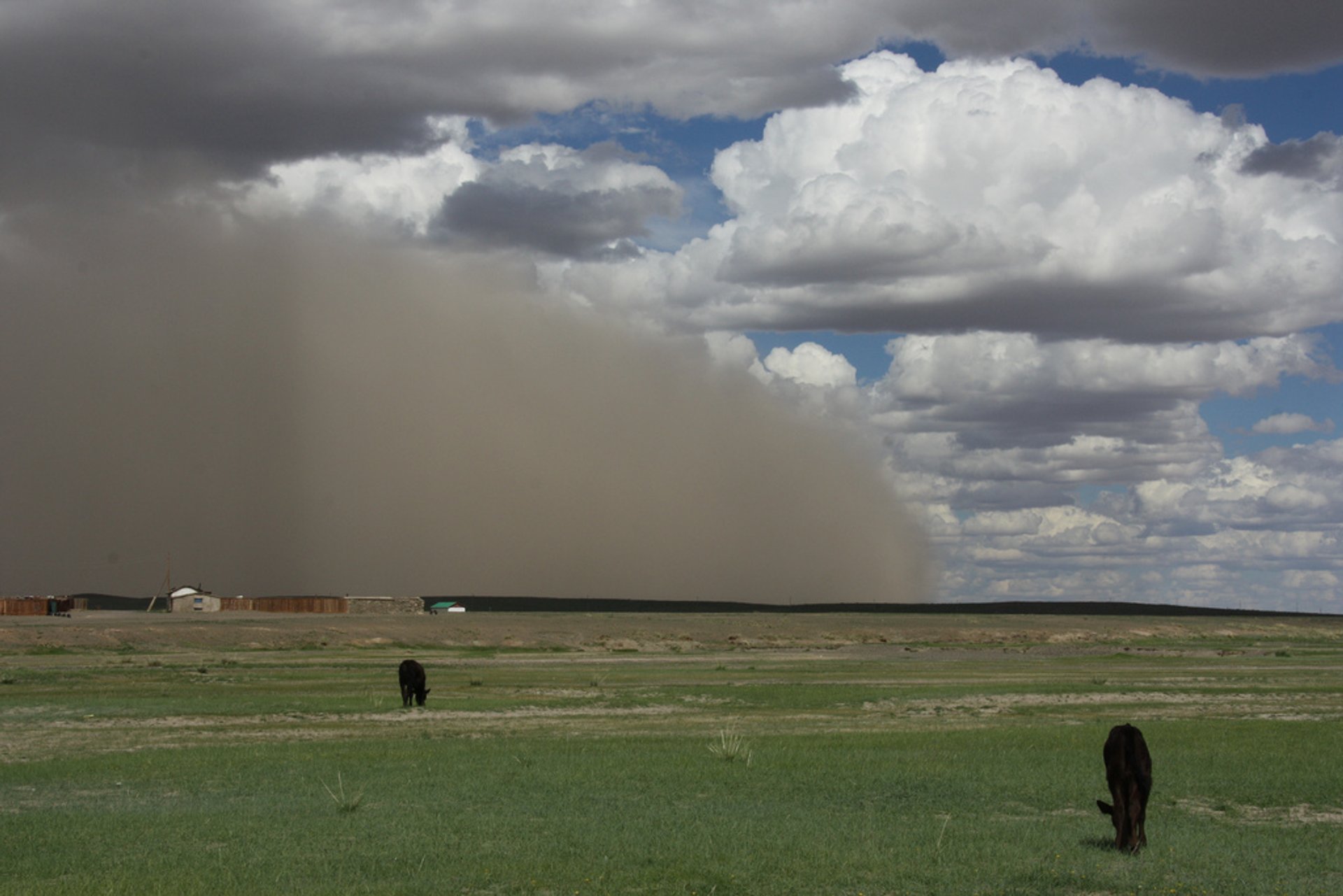 沙尘暴,沙尘天气,中国网友,外蒙古,中国,韩国媒体,气象局