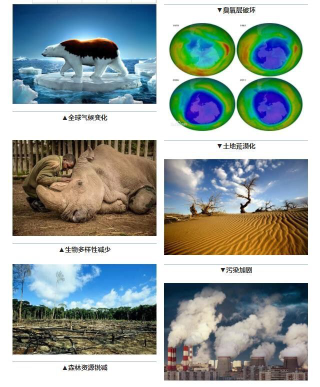 全球气候变暖,臭氧层的耗损与破坏 酸雨蔓延,生物多样性减少 森林锐
