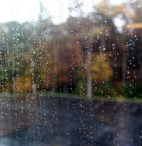 小雨,多云,阴天,偏北风,东北风,西北风,偏东风,早晨