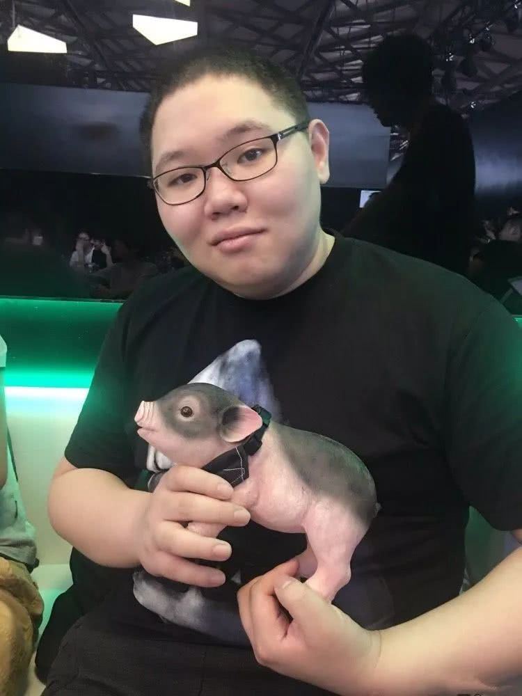 pdd:如何将"骚猪"打造成一个品牌