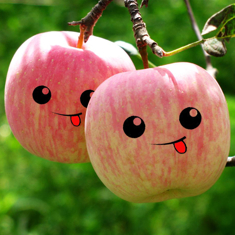 【夺取双胜利】有机洛川苹果 天生好果