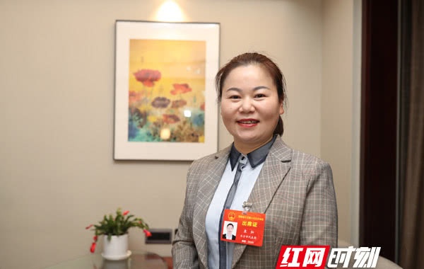 基层,人大代表,袁灿,基层减负,政府工作报告