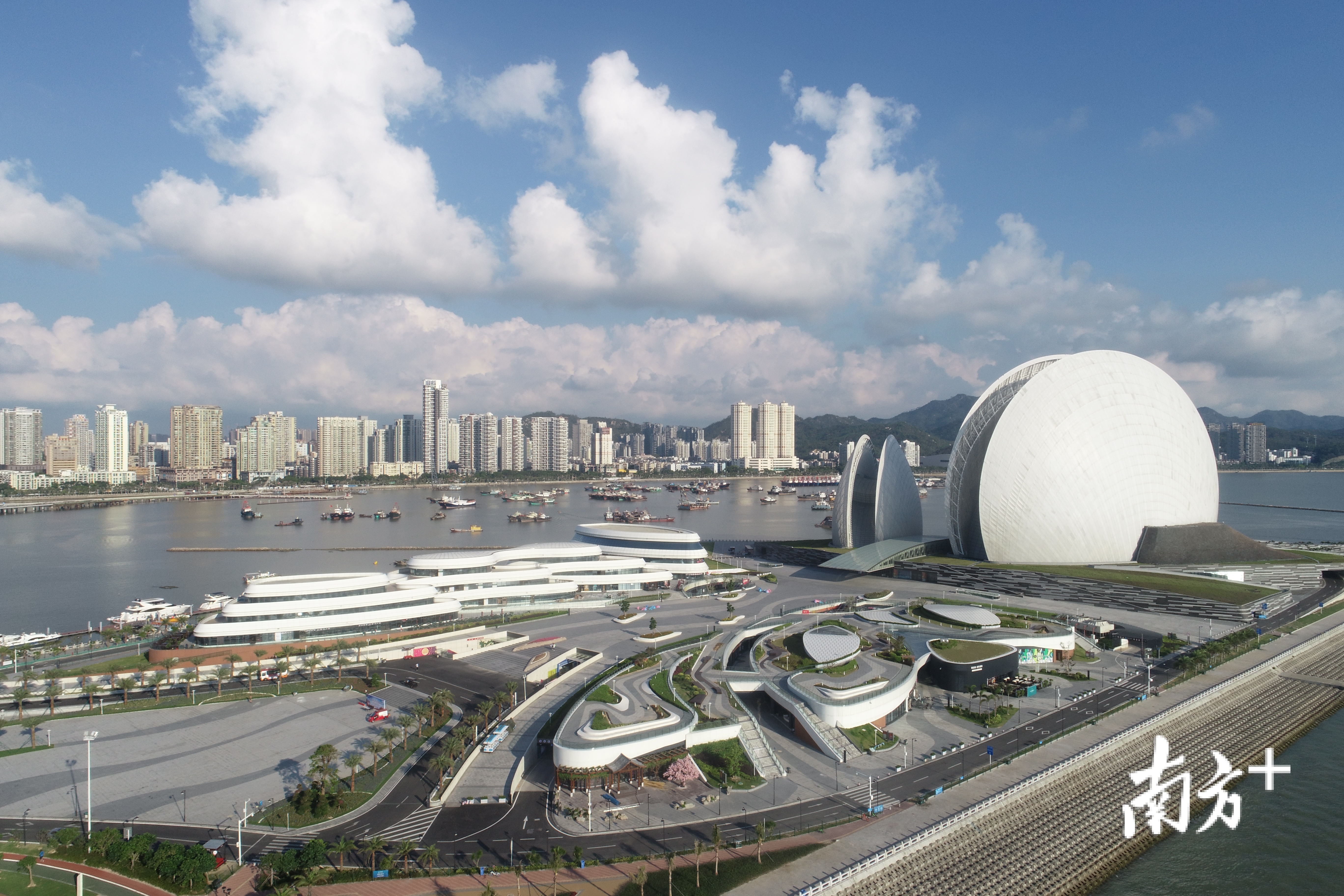 珠海,法治,法治政府建设,珠海市委