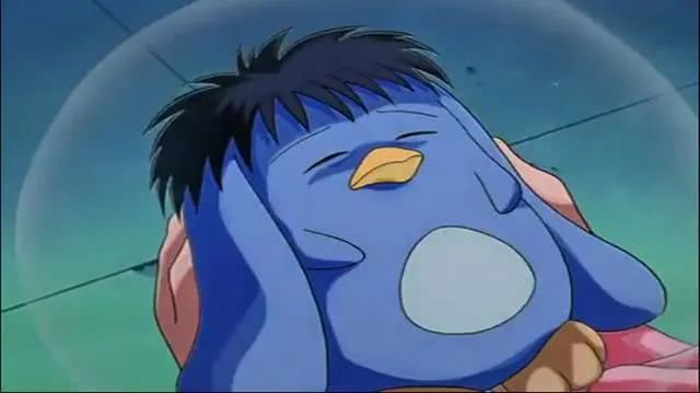 夏目友人帐,友人帐,浦饭幽助,魔法少女小圆,甜甜私房猫,棉花糖,帕克