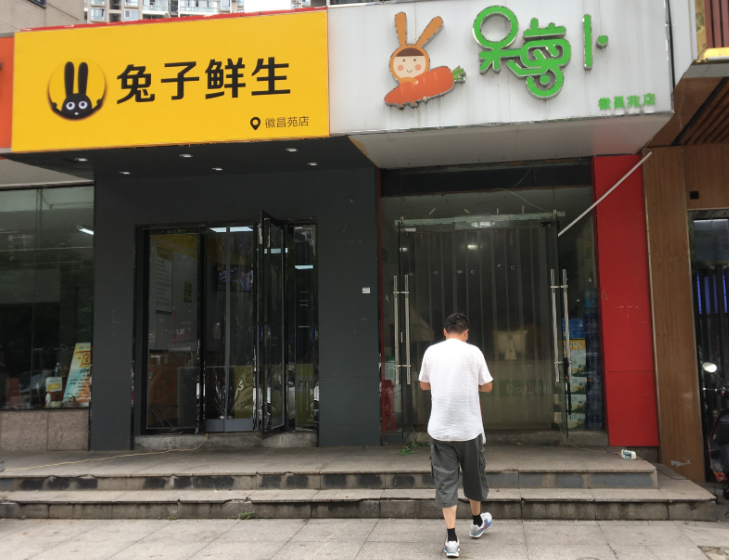 生鲜,兔子,萝卜,合肥