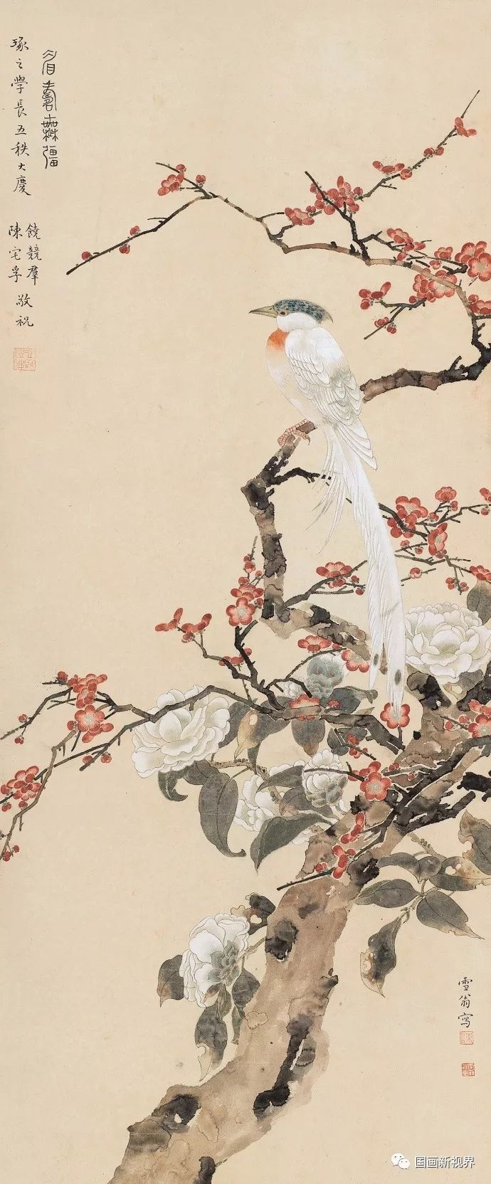 “梅兰竹菊”，文人风骨！