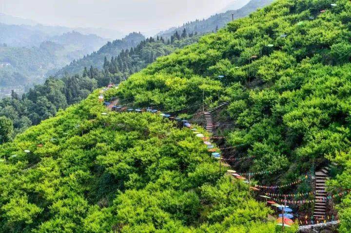 姜家,舞龙,溶洞,景区,石笋