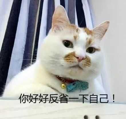 安徽专升本考试资料网