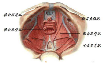 什么是功能性肛门直肠痛?