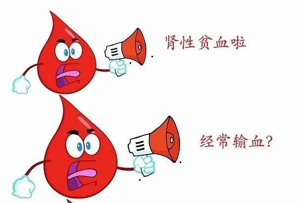 贫血是慢性肾脏病主要的临床表现之一,得了肾性贫血,怎么办呢?-看点快