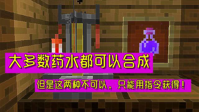 我的世界 4种只能指令获得的物品 看看有没有你不知道的