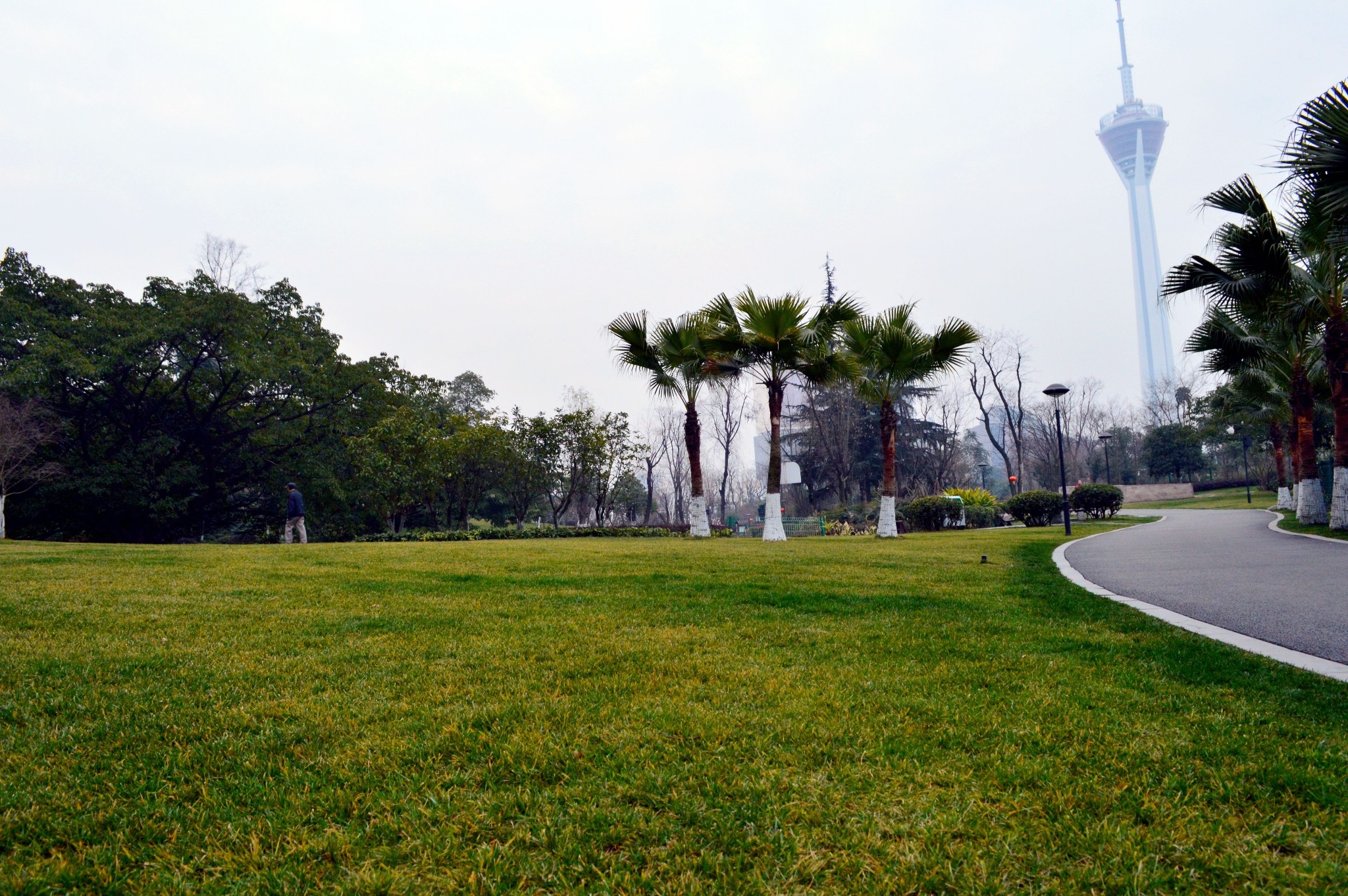 公园,成都,游乐园,成华公园,高楼大厦