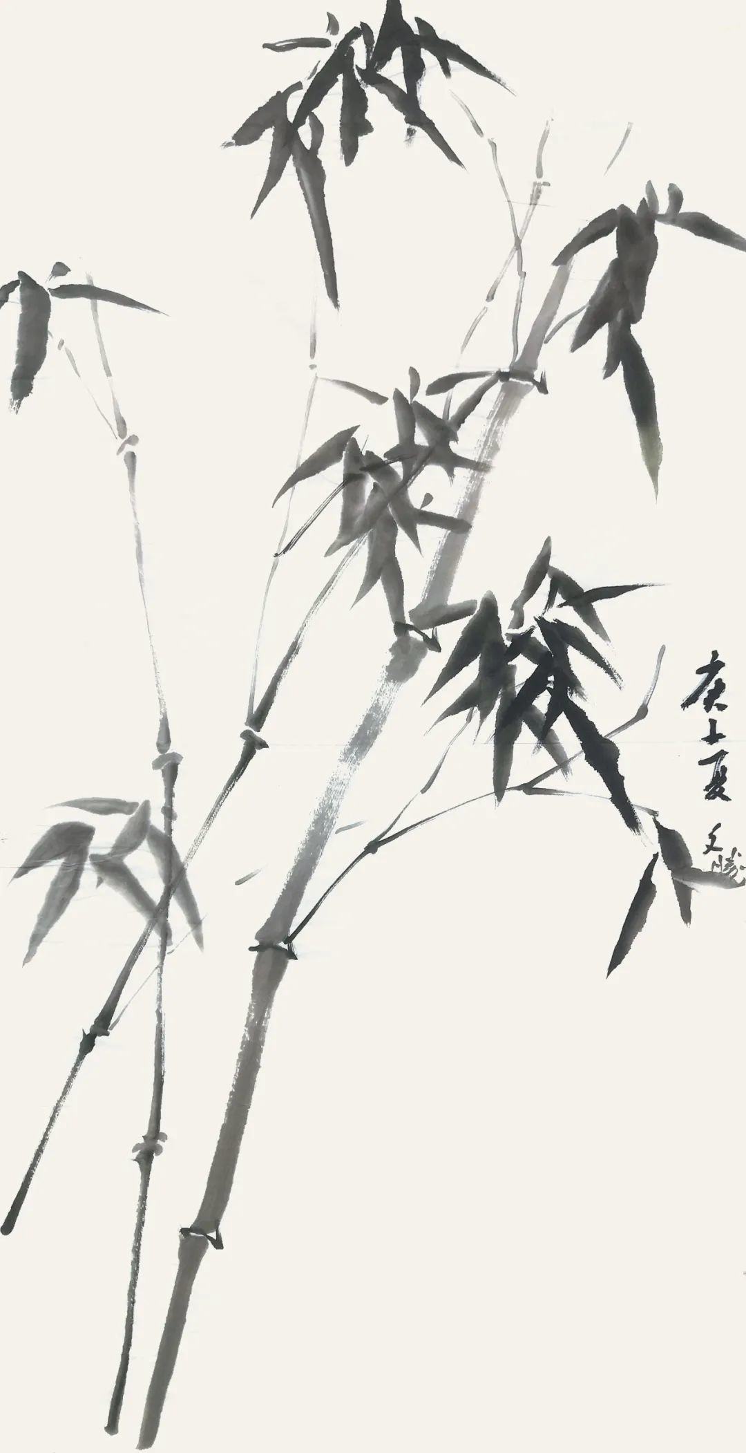 写意竹子大作,敏画竹,坤峰画竹(第5页)_大山谷图库