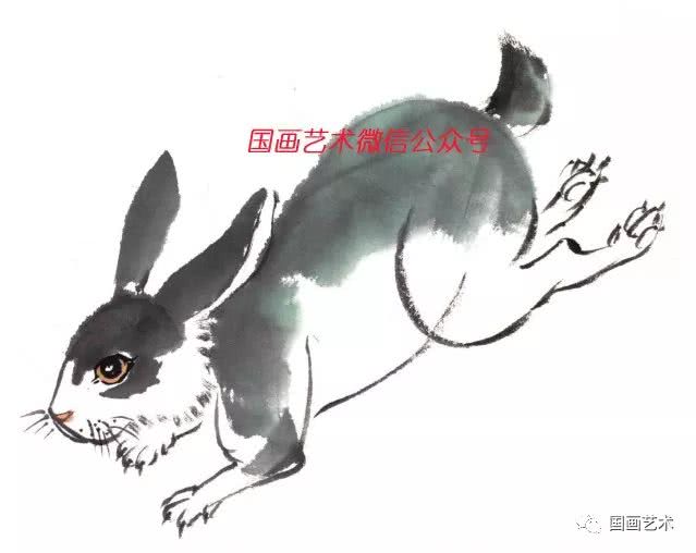 图文教程:小兔子,小刺猬写意画法-看点快报