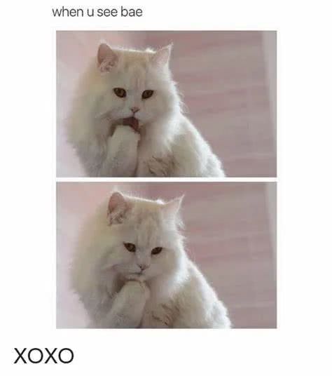 老外常说的 Xoxo 是什么意思 想歪了就太尴尬了