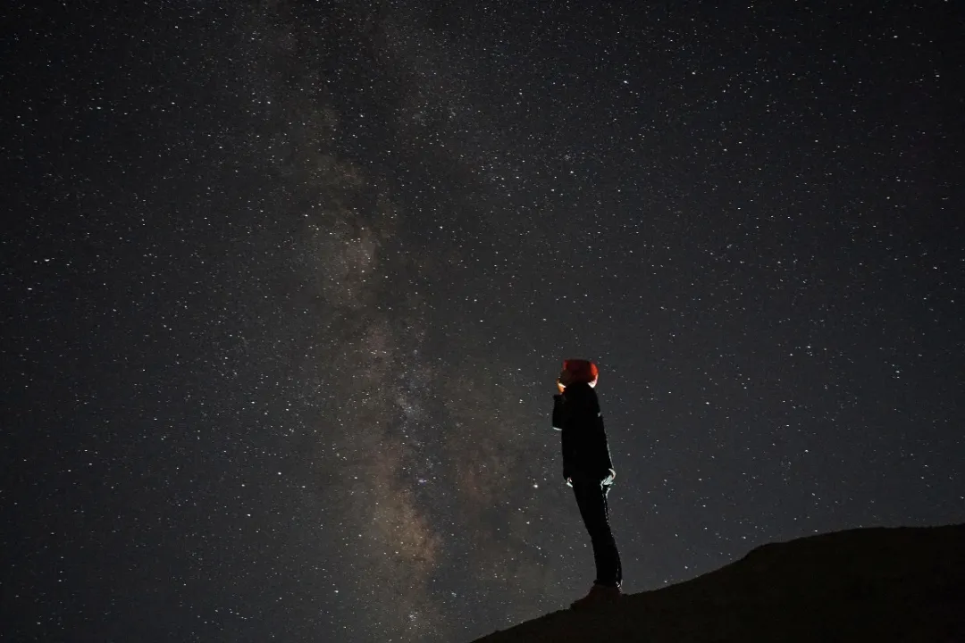 星空.新京报记者 陈杰 刘旻 摄