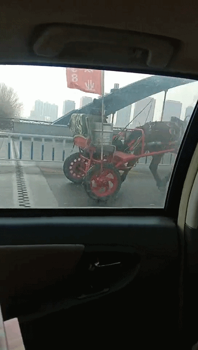 赶着马车去过年!网友惊呼:满条街上数你最耀眼!