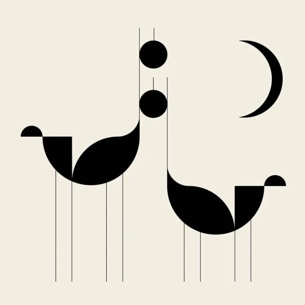 艺术与设计 - 点线面排列组合绘制抽象艺术