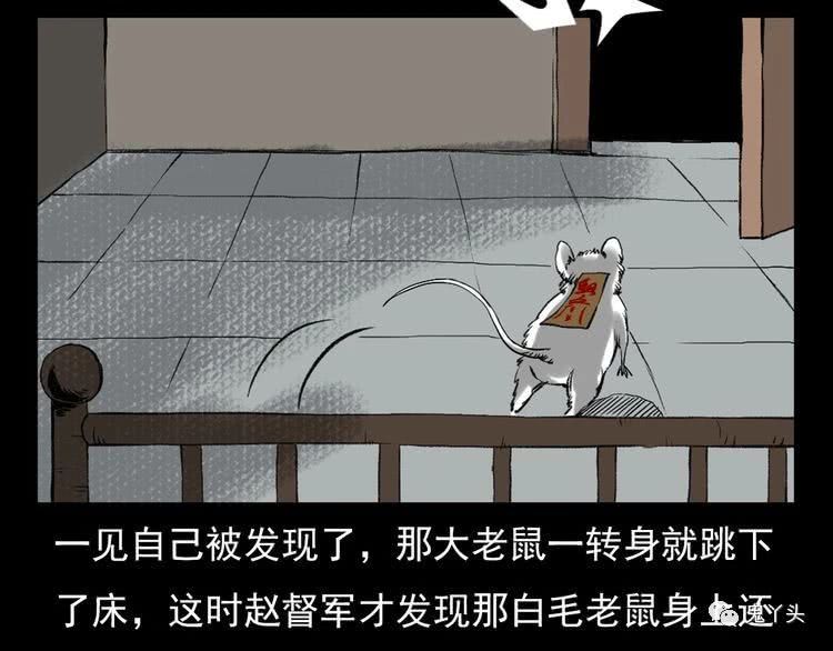 ��54�� ����ǽ��