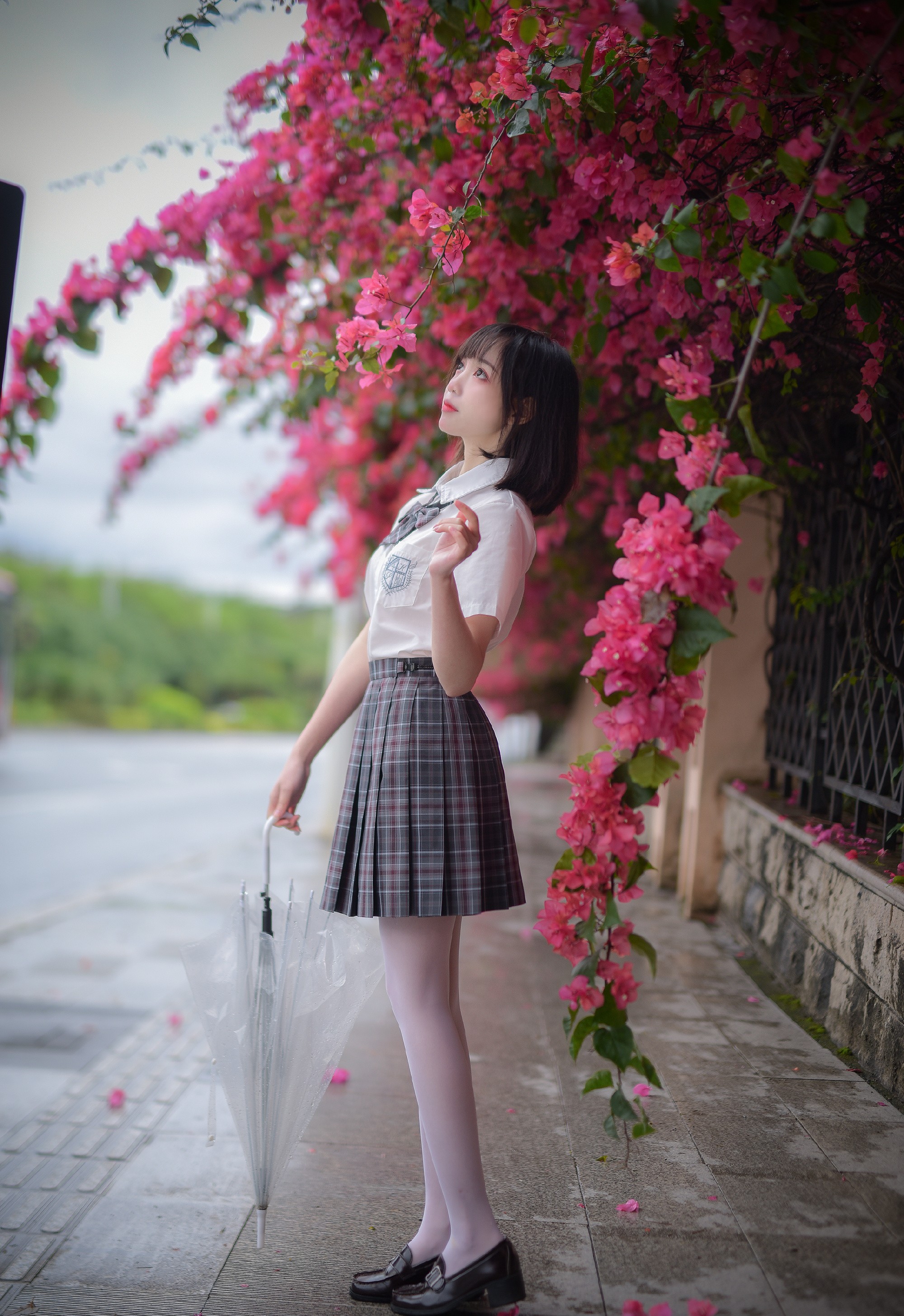 jk少女,落英缤纷,翩翩起舞